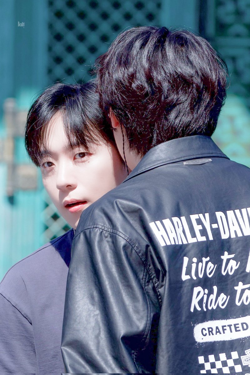 그리즐리베어🐻 tweet media