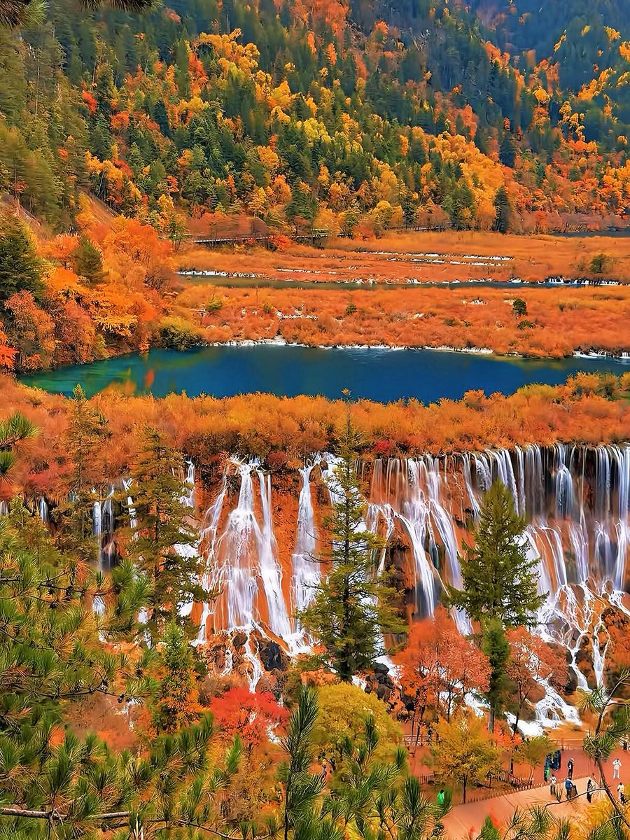 storyzhongguo's tweet image. 九寨沟的彩林美成了高饱和度油画