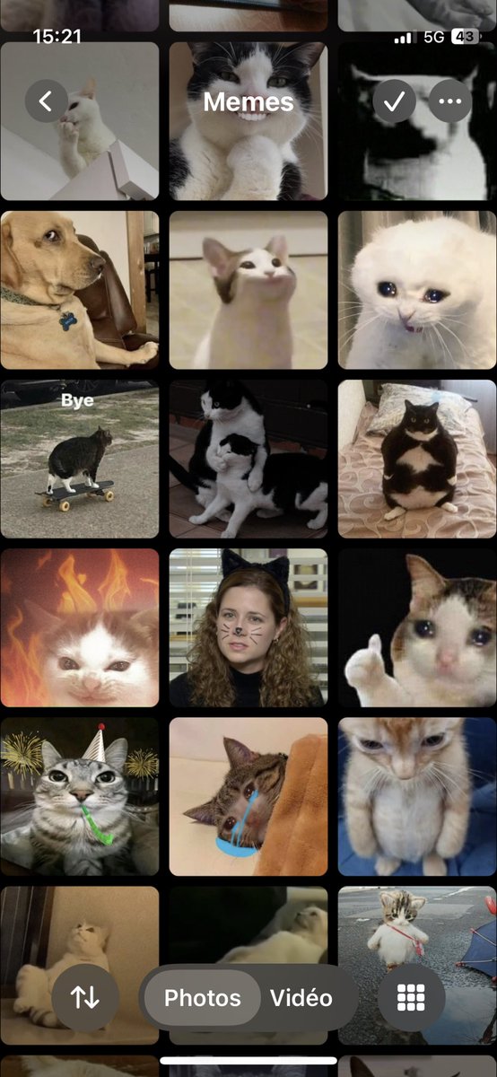 léa ✮⋆˙ tweet media