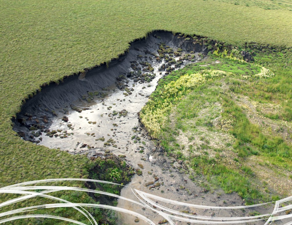 Climate change isn’t just affecting the future: it’s endangering the past. Artifacts, archaeological sites and sacred places are put at risk when erosion, flooding and wildfires increase as our planet warms up. 

Learn more about Climate Change in the NWT 👇