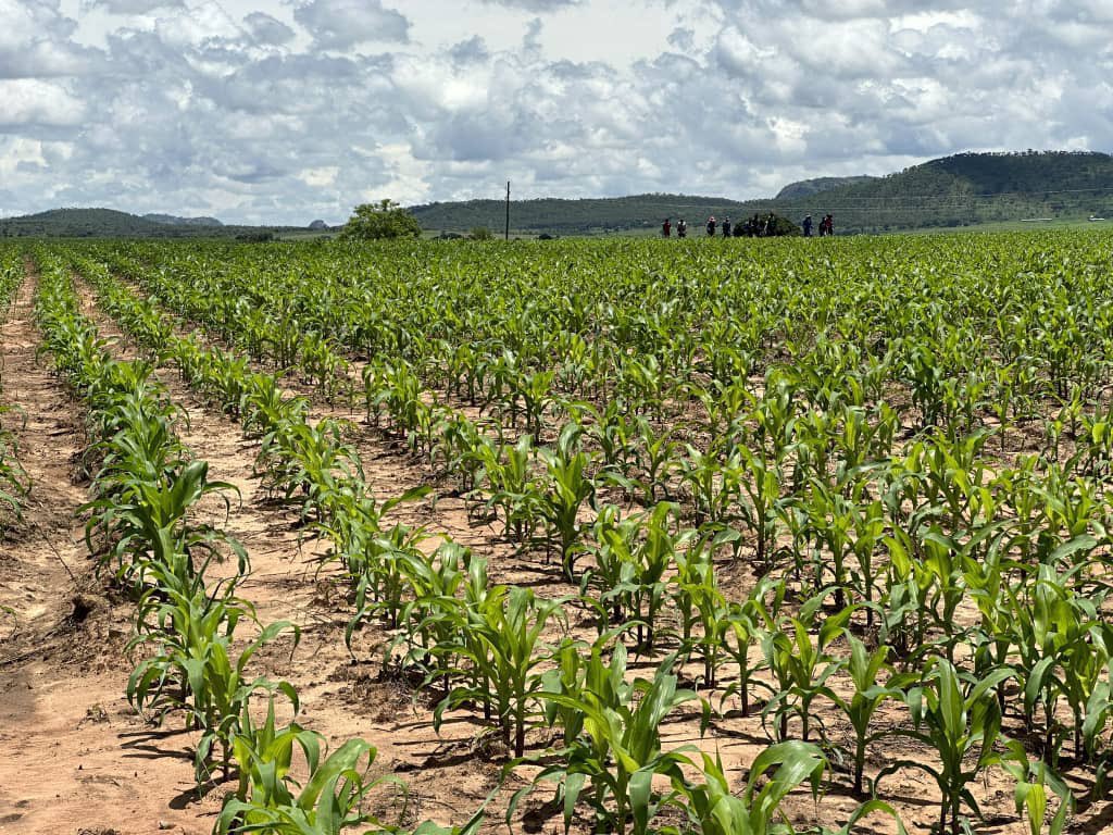 CP Chemicals Pvt Ltd tweet media