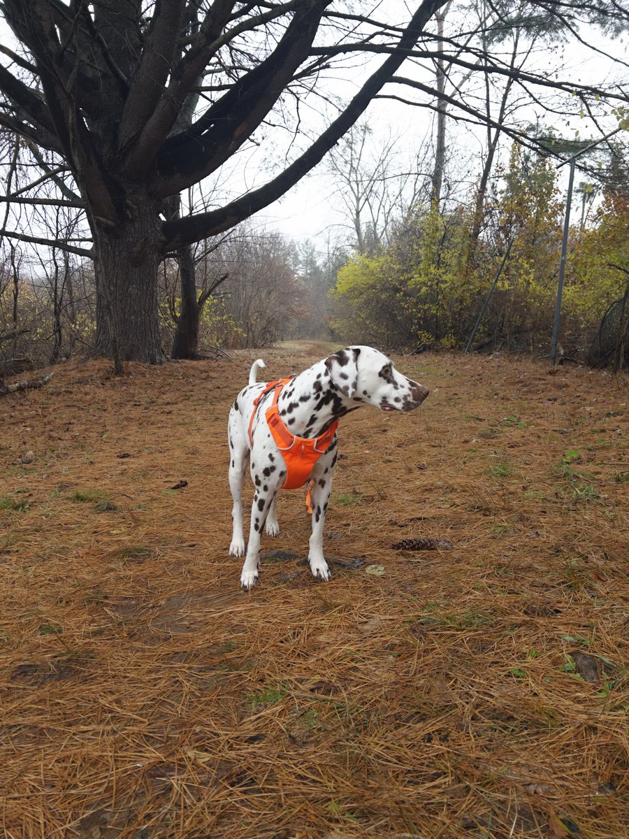 HBrandon08's tweet image. #WeOutside