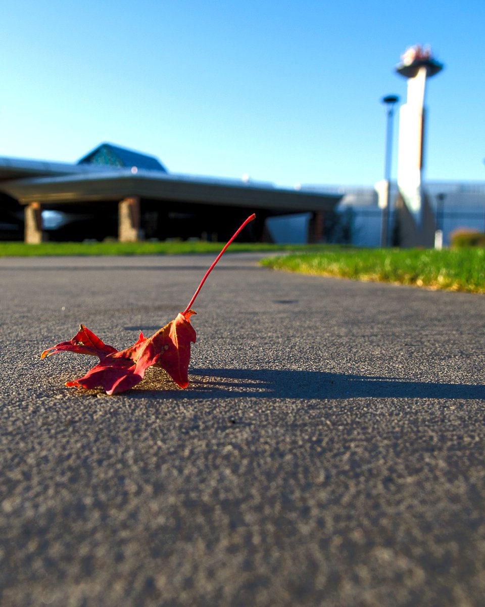 Fall into the action at Mohegan Pennsylvania! 🍁
