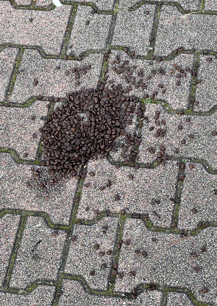 Tragische Schicksalsschläge müssen sich hier abgespielt haben!