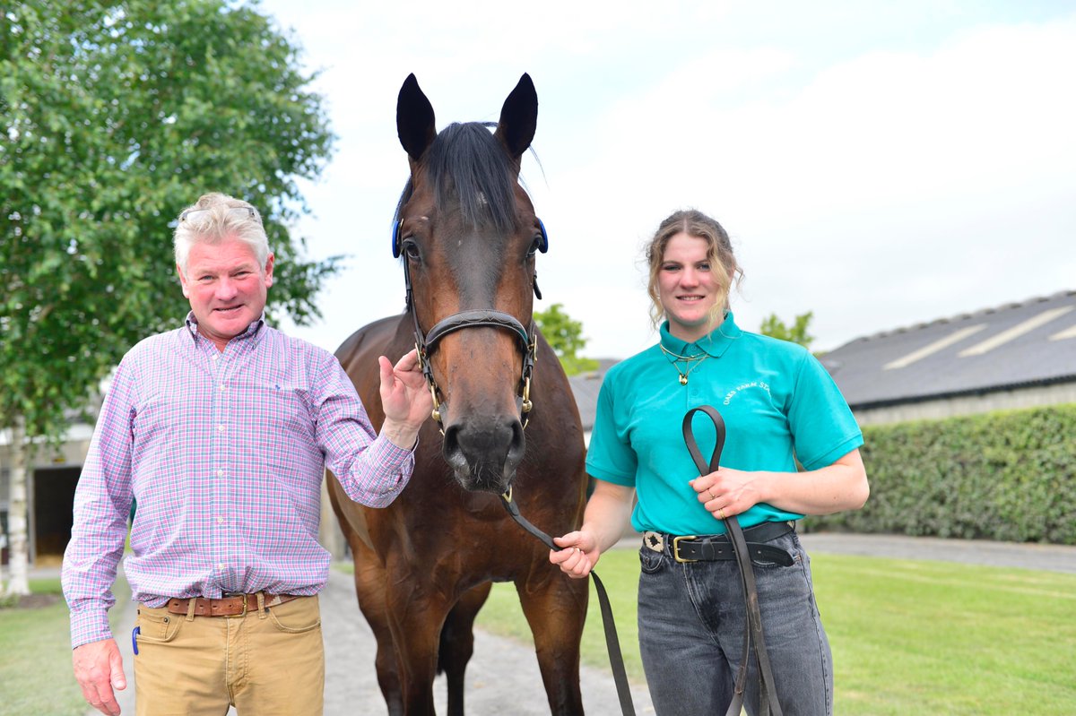 Tattersalls Ireland tweet media