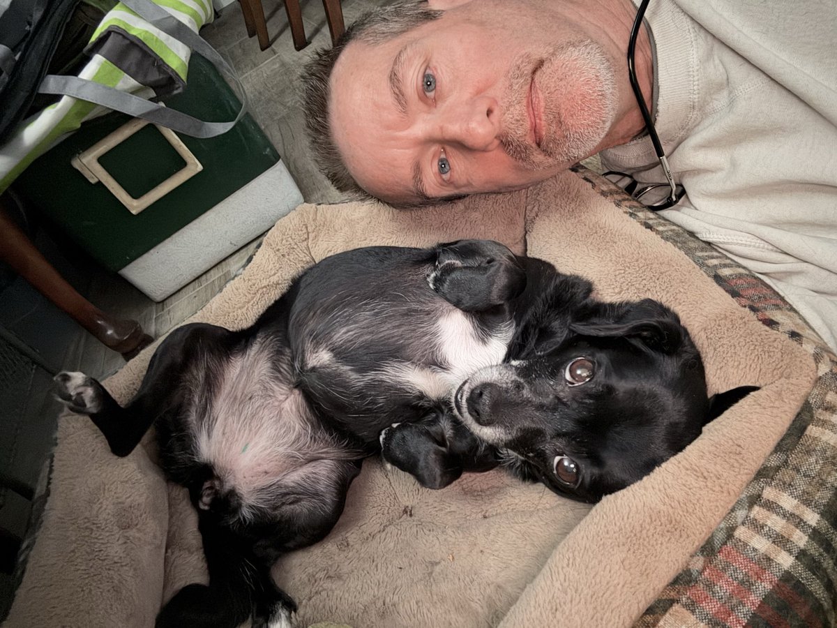 722Stan's tweet photo. Just a couple of Saturday morning selfies with the pups https://t.co/p8BbMWLhK3
