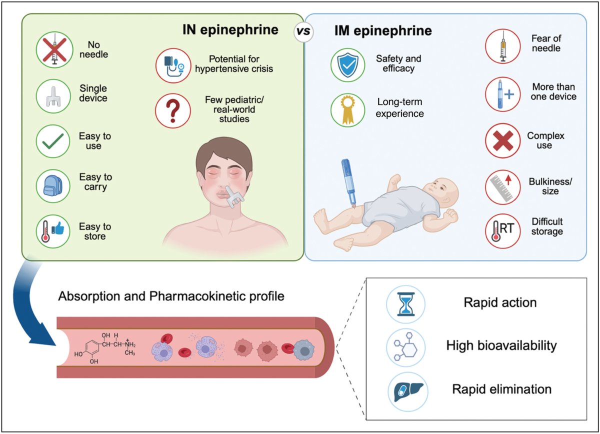 Aller_MD's tweet image. #Epinephrine #nasal #spray for the treatment of #anaphylaxis: perspectives in pediatrics. Current Opinion in #Allergy and Clinical #Immunology. Open Access.  journals.lww.com/co-allergy/ful…