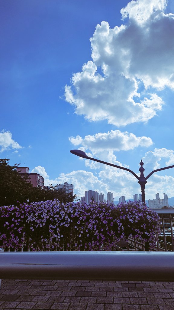 yj_ing6's tweet photo. 간만에 날이 좋네

#비떱 https://t.co/7NX3uSDwxH