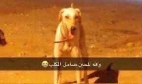 الي طلعت مواقعهم برا السعودية ولسا يبررون انهم سعوديين