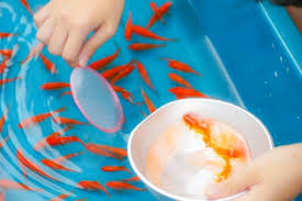 ゲッコウガ ＠TikTok Lite 争奪戦 Pay交換 求譲 tweet media