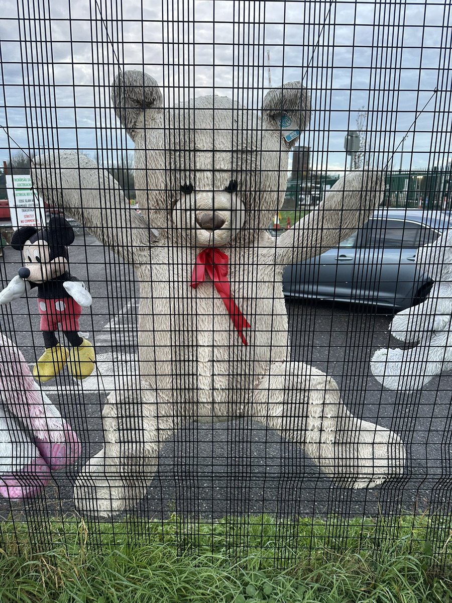 SaturdayRunner tweet media