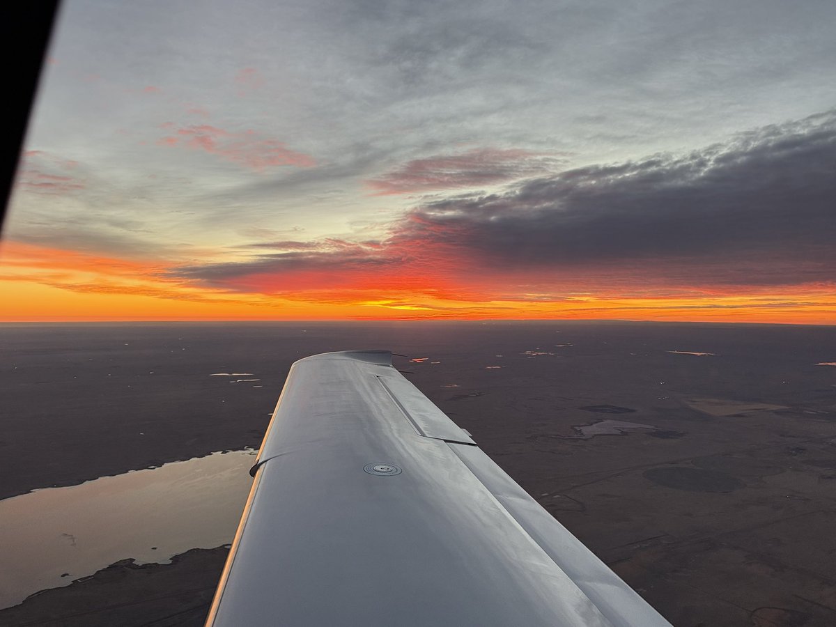 Cattle markets may be going down but I’m heading up.