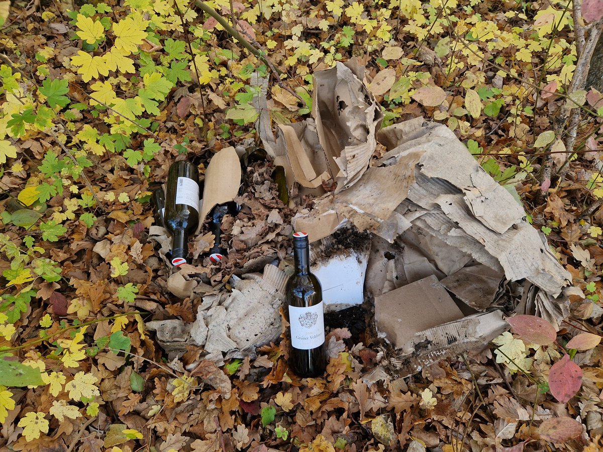 Koop eerst één fles wijn ipv twee hele dozen.
Dan hoef je, als het je niet smaakt,  in de struiken te lozen.
Echt een actie van een dwaas,
daar zijn er meer van helaas.
Zo gaat de wereld langzaamaan naar de kloten.
Maar jij bent er in ieder geval mee opgeschoten...
 #zwerfieNL