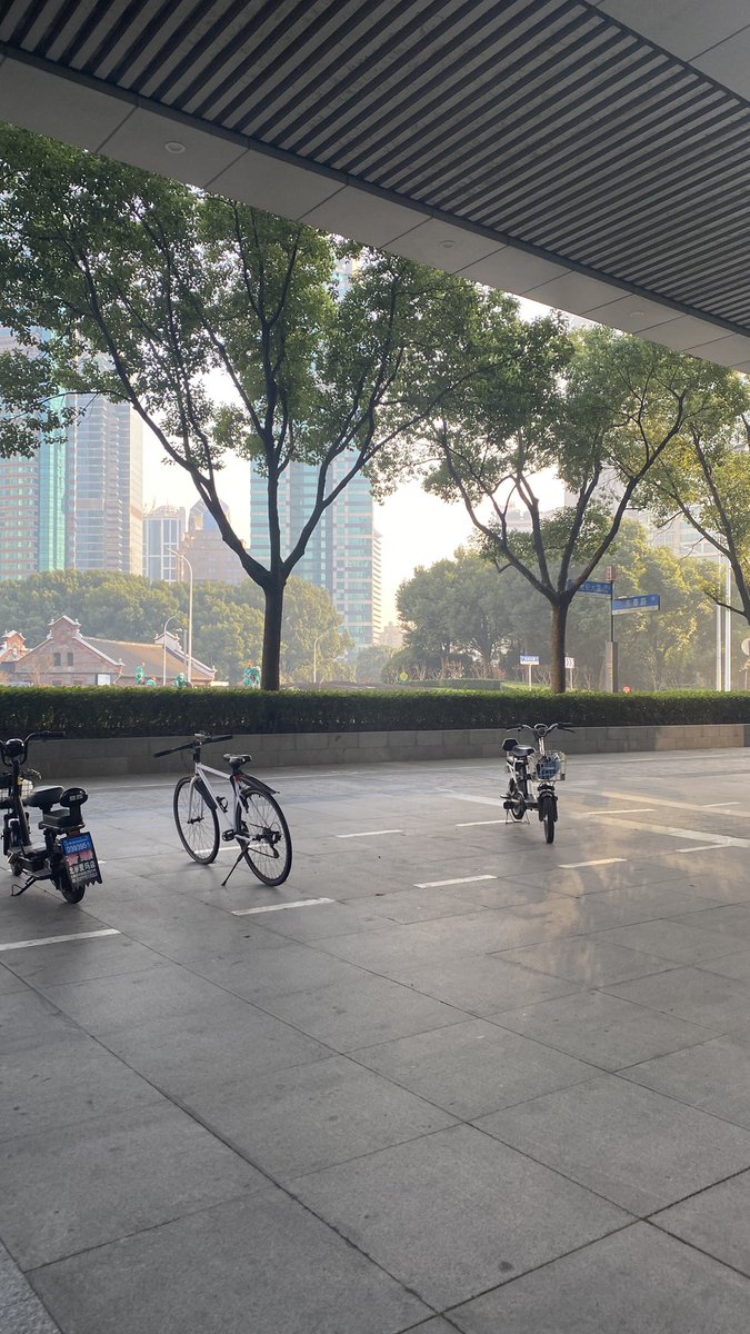 Yaracoding's tweet image. Day one in Shanghaiiii❄️