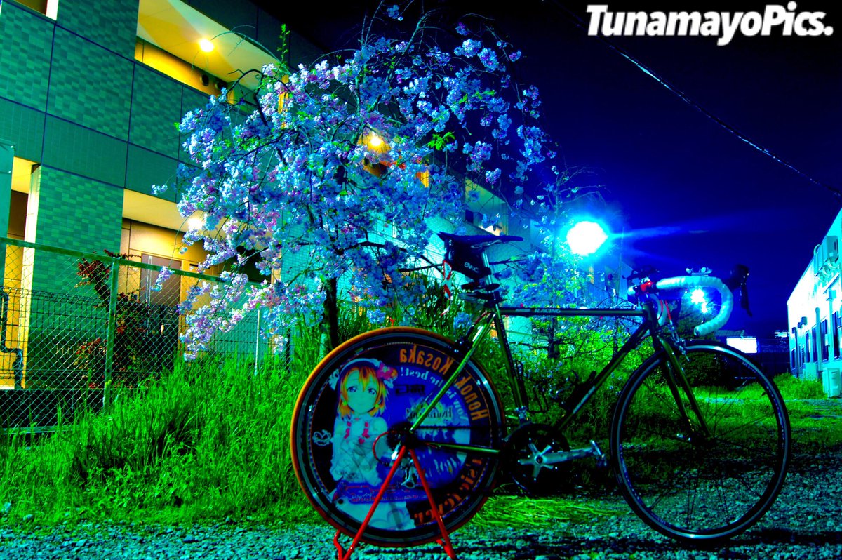 Xx27m4xX's tweet image. #コレを見た人は10年以上前の写真を貼る
光らしたり痛チャリにしてました