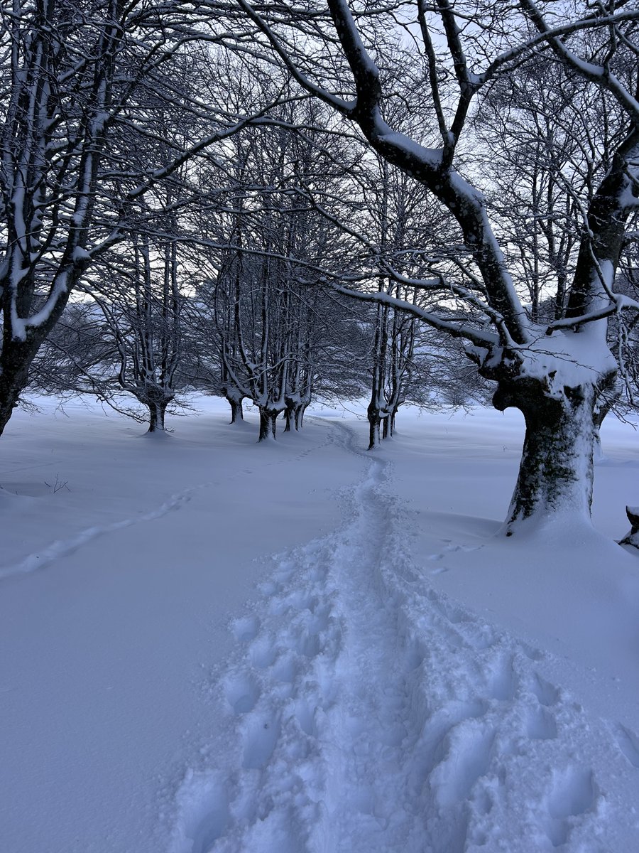 Aitorgg7 tweet media