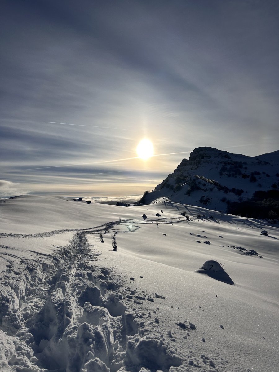 Aitorgg7 tweet media