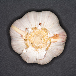 panoramicus's tweet photo. #garlic #cucumber #lemon #onion https://t.co/c4J6uAlS8Q
