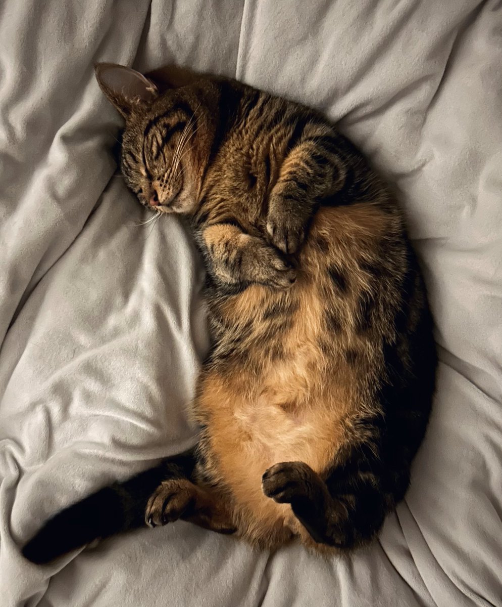 ウル (@ultimaulu) on Twitter photo 