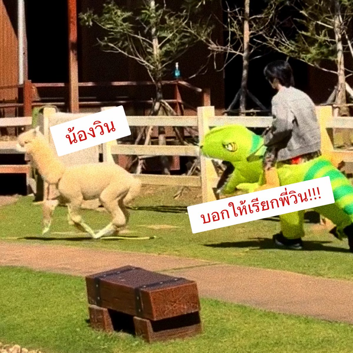 mntlism's tweet image. 