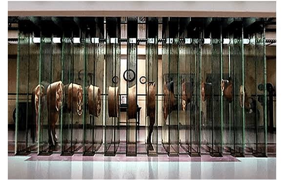 ターセム・シン監督と石岡瑛子さんのタッグだと、『ザ・セル』も大好きで、また観てる。