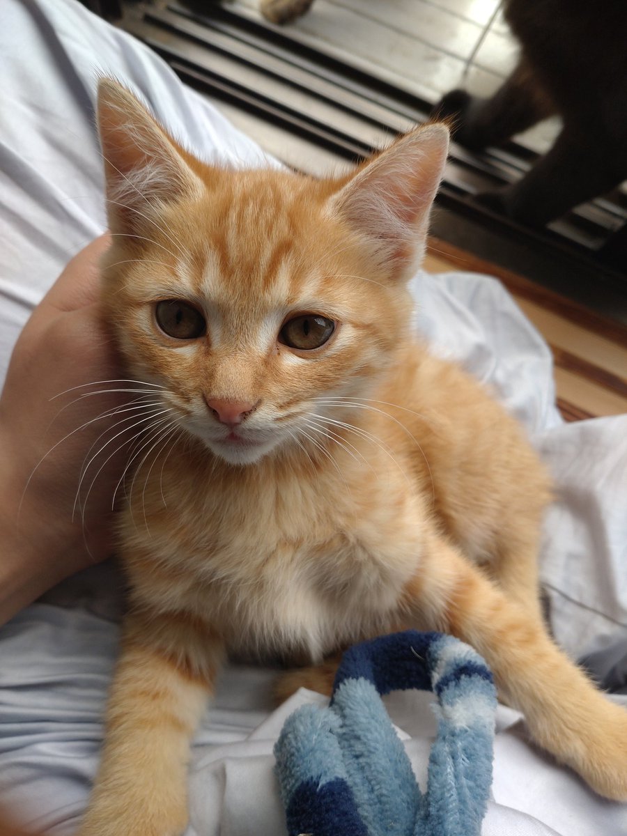 大吉(@b_nj1x9) on X