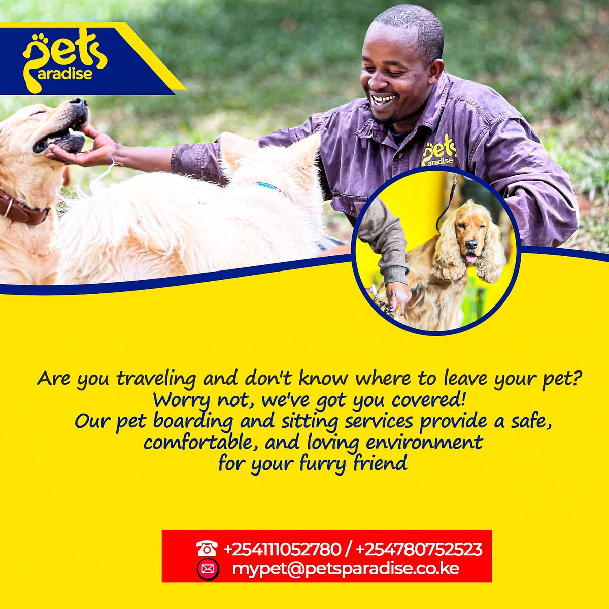 PetsParadiseKE's tweet image. Personalized attention while they are home away from home🐶❤️

#petcare #petlovers #petsitter #petboarding #petdaycare #petgrooming