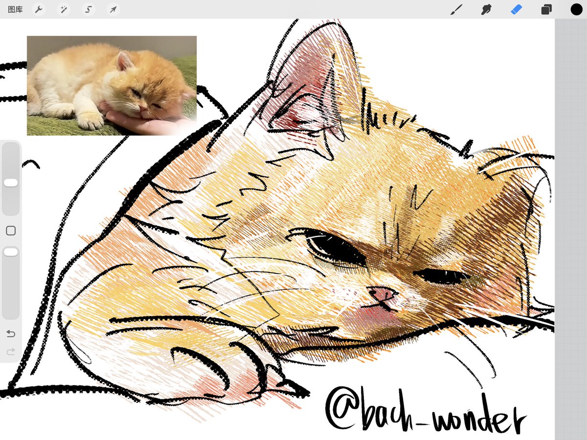 Wip procreate新筆刷
#cat