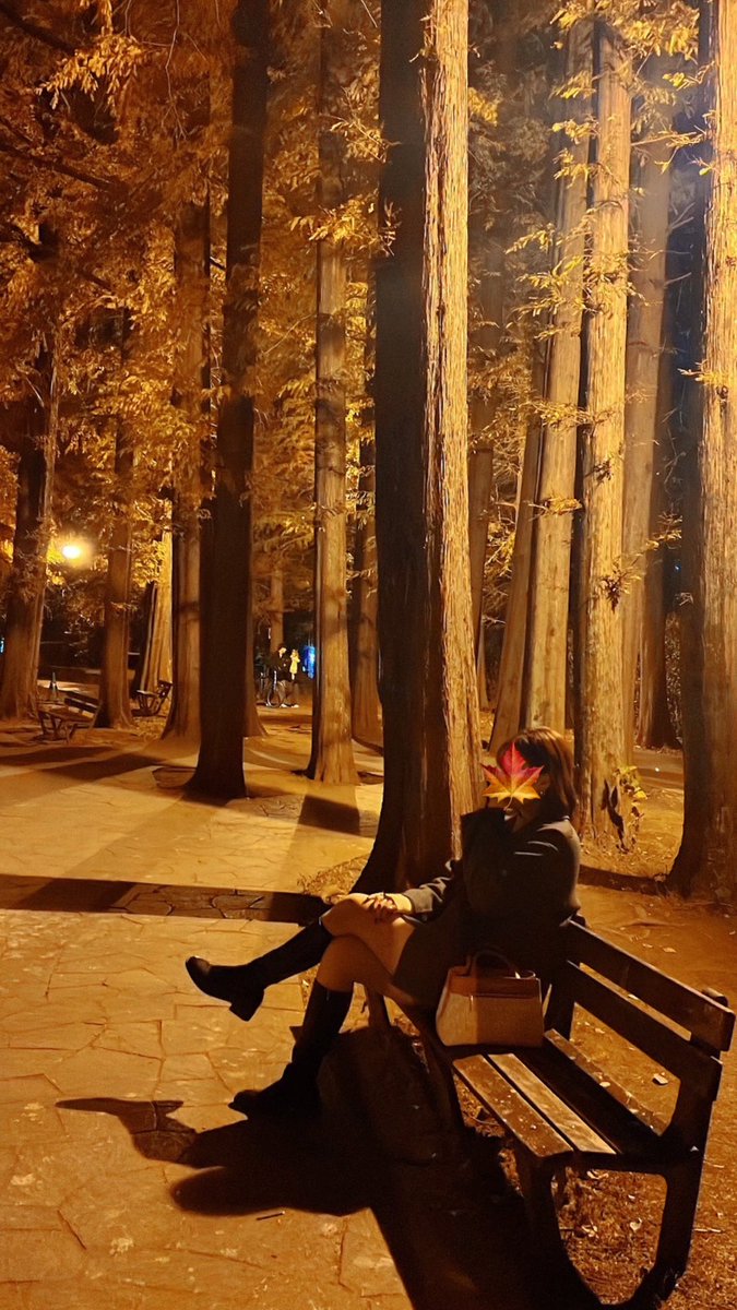 ud_enjoy's tweet image. 蟹食べすぎたから、散歩しに紅葉が綺麗だって噂の公園へ🚶
紅葉してるのかどうか、照明がオレンジ色過ぎてわかりませんでした。
まあ綺麗だったし楽しかったから良し。
良き結婚記念日でした。
おやすみなさい。