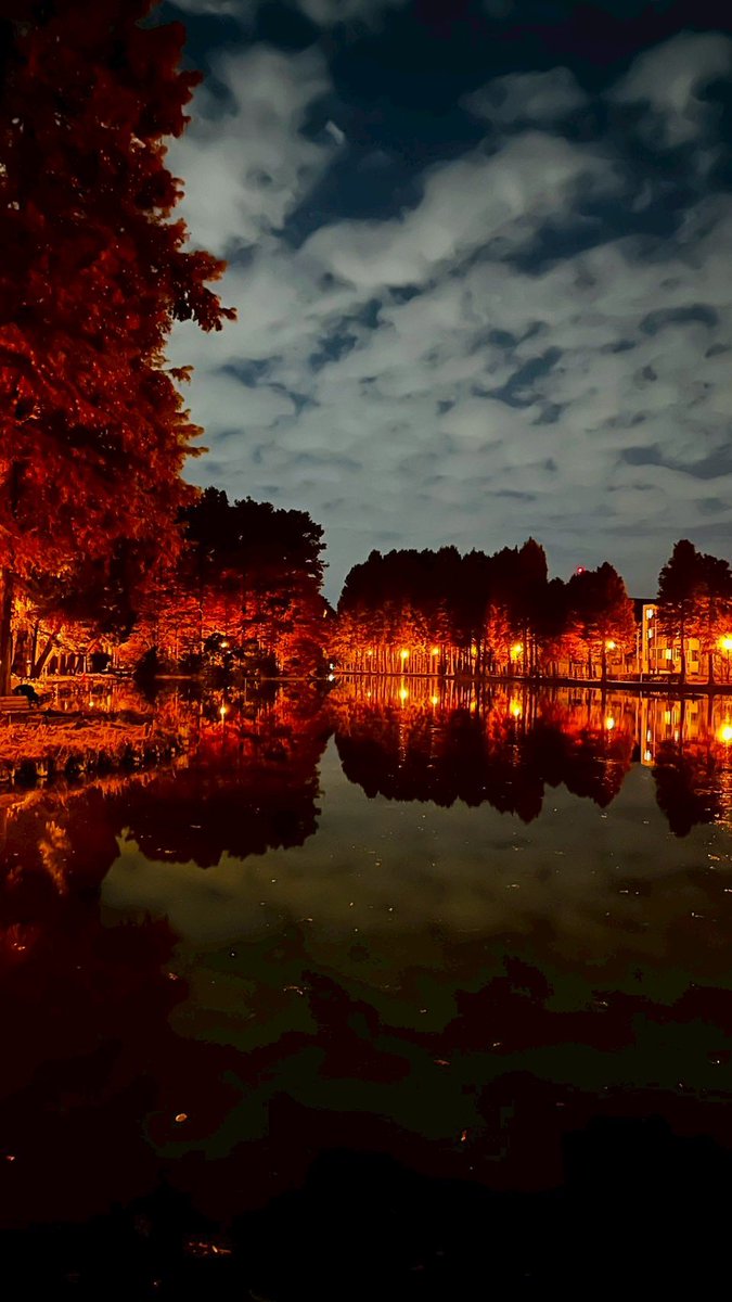 ud_enjoy's tweet image. 蟹食べすぎたから、散歩しに紅葉が綺麗だって噂の公園へ🚶
紅葉してるのかどうか、照明がオレンジ色過ぎてわかりませんでした。
まあ綺麗だったし楽しかったから良し。
良き結婚記念日でした。
おやすみなさい。