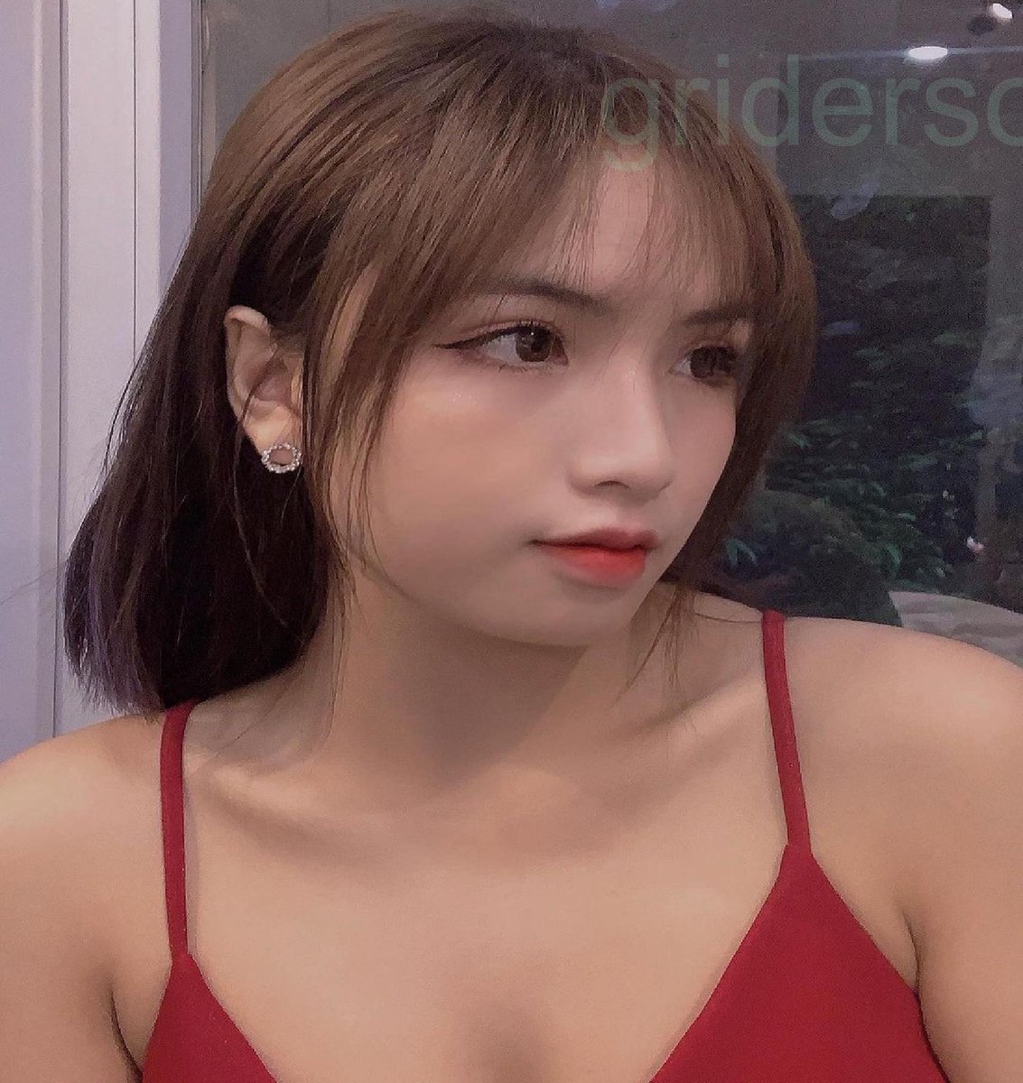 Timothy Donovan tweet media