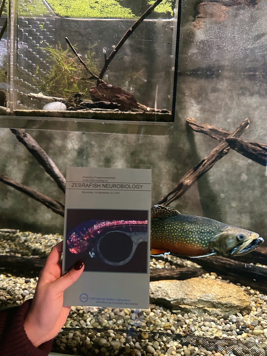 CSHL Meetings tweet media