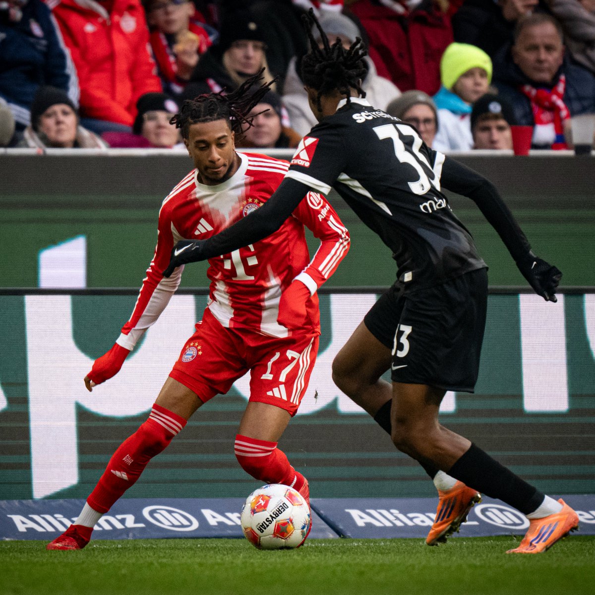 FC Bayern München tweet media