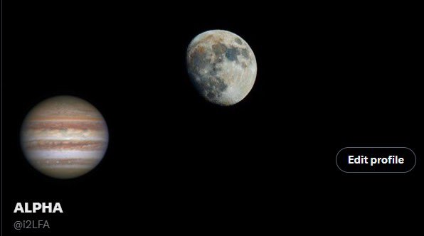 ALPHA tweet media