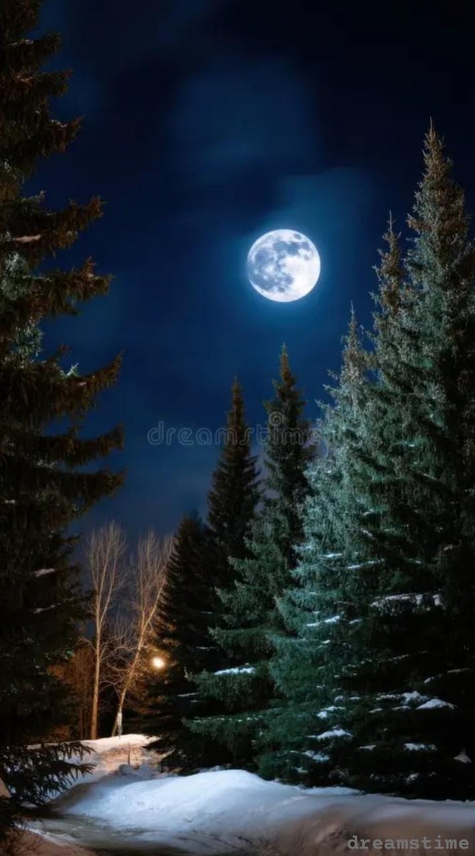 Truthvibeswrite's tweet image. will it snow for Christmas
Yes
it&apos;ll
Happy_wellness tranquil
Leisure hours
Ours
Integrated intently
with chores
so much to gather
we work together 
a bliss
#measurable not
let the world rush
I smile
u blush
Love&apos;s starlit hue
guides us through

#vss365
#FoxProse
#fairytalepoets