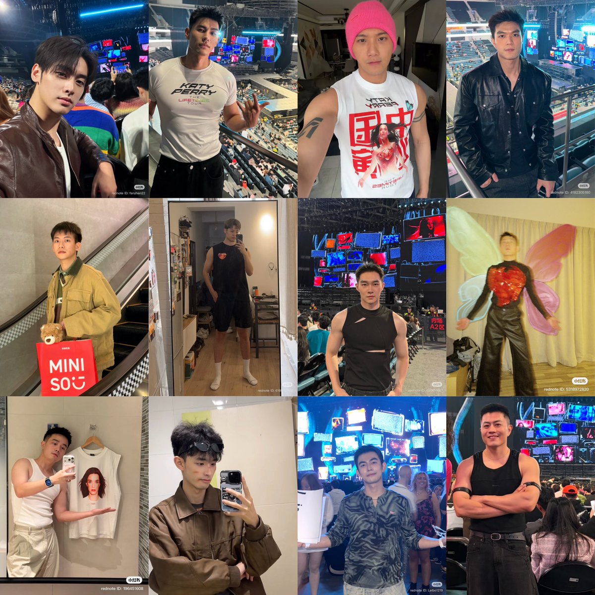 oh, chinese katycats…