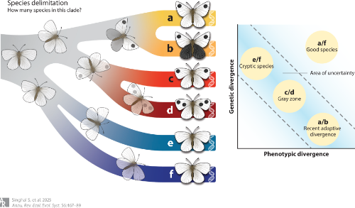 Genomic divergence does not always accurately reflect ecological divergence and reproductive barriers, and genome heterogeneity can complicate the overall understanding of genetic divergence.