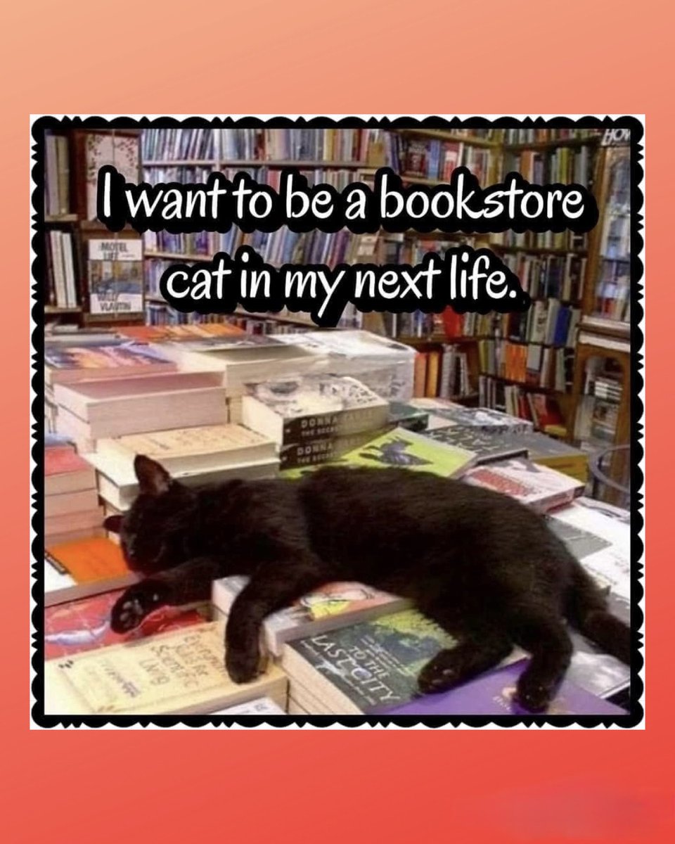 readerjanine's tweet image. 