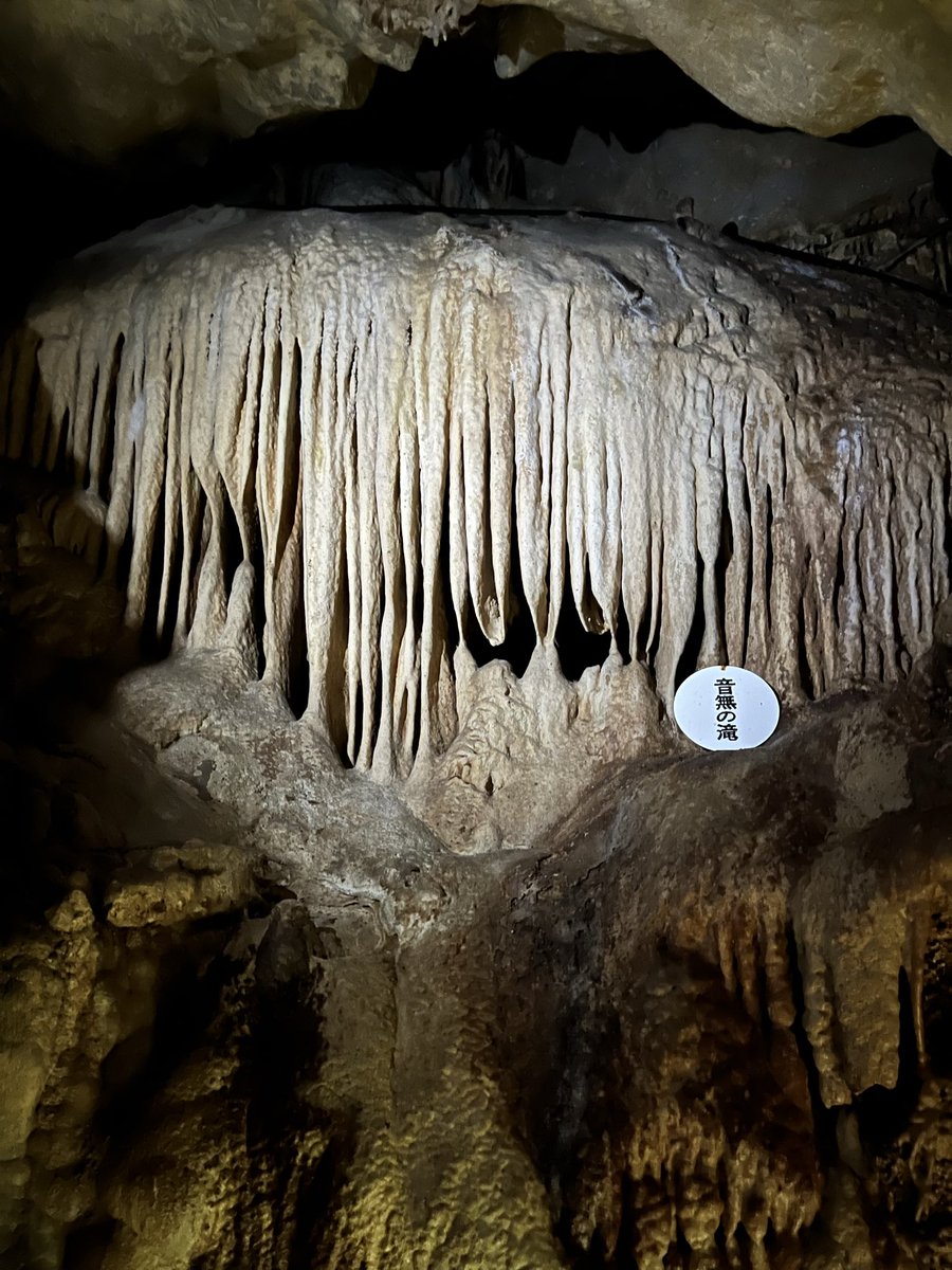 鍾乳石の名所もたくさんある点も見所でした #龍河洞