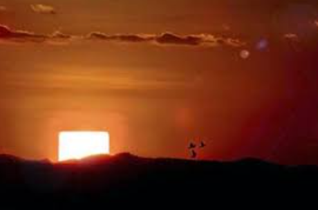linkeox's tweet photo. Sol nasceu assim hoje https://t.co/IhJXM63xP9