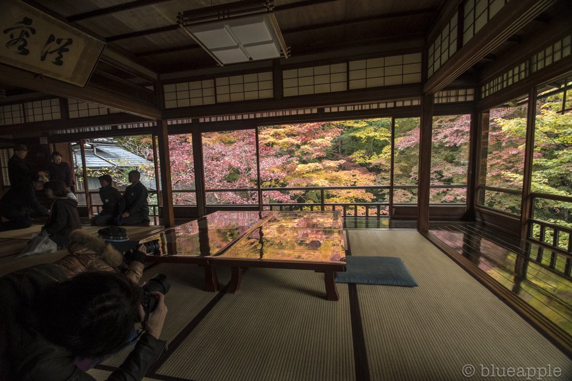 fuyakash's tweet image. 