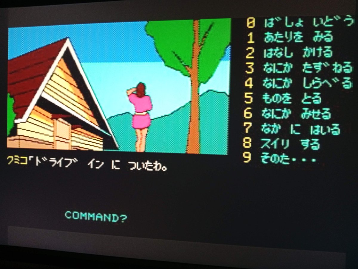 エニックス 軽井沢誘拐案内