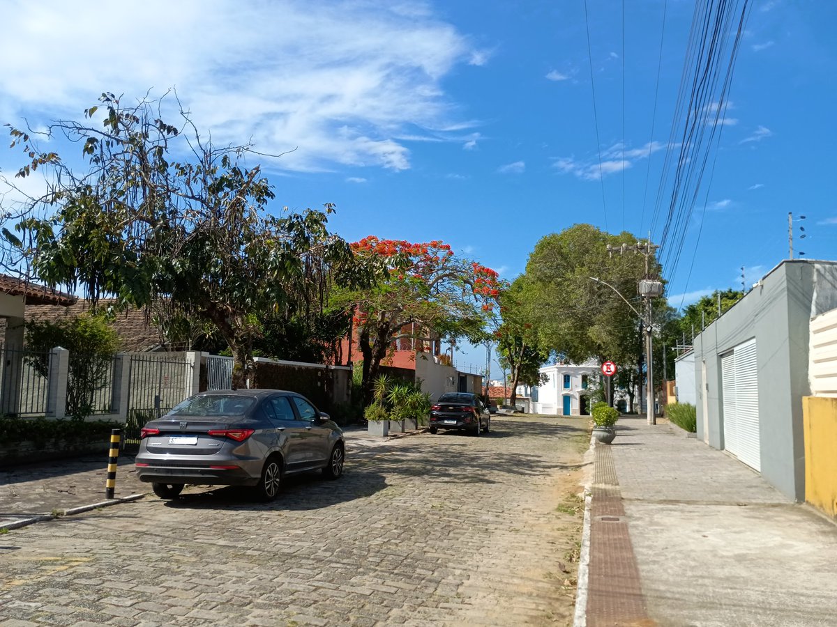 NavyChevalier's tweet image. The place I come to when I need to refill my happiness bar 🧭

#Photography #Nature #Spring