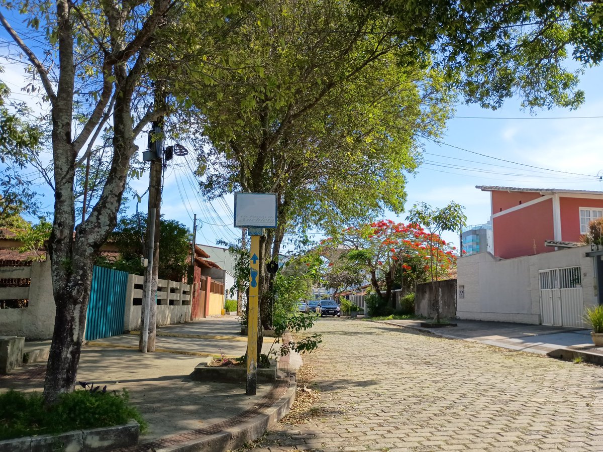 NavyChevalier's tweet image. The place I come to when I need to refill my happiness bar 🧭

#Photography #Nature #Spring