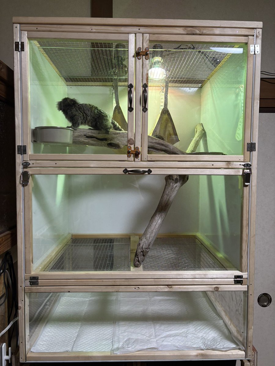 yuma爬虫類ケージ工房様 リクエスト 4点 まとめ商品 yuma爬虫類ケージ工房様 リクエスト 4点 まとめ商品 yuma爬虫類ケージ