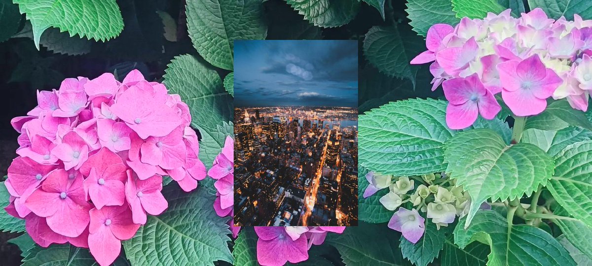 ASHIN331's tweet image. 🧯在田埂上奔跑，春風裹著麥香 🌾— 找回童年的純真。溫暖如陳年普洱，越品越覺韻味深長。