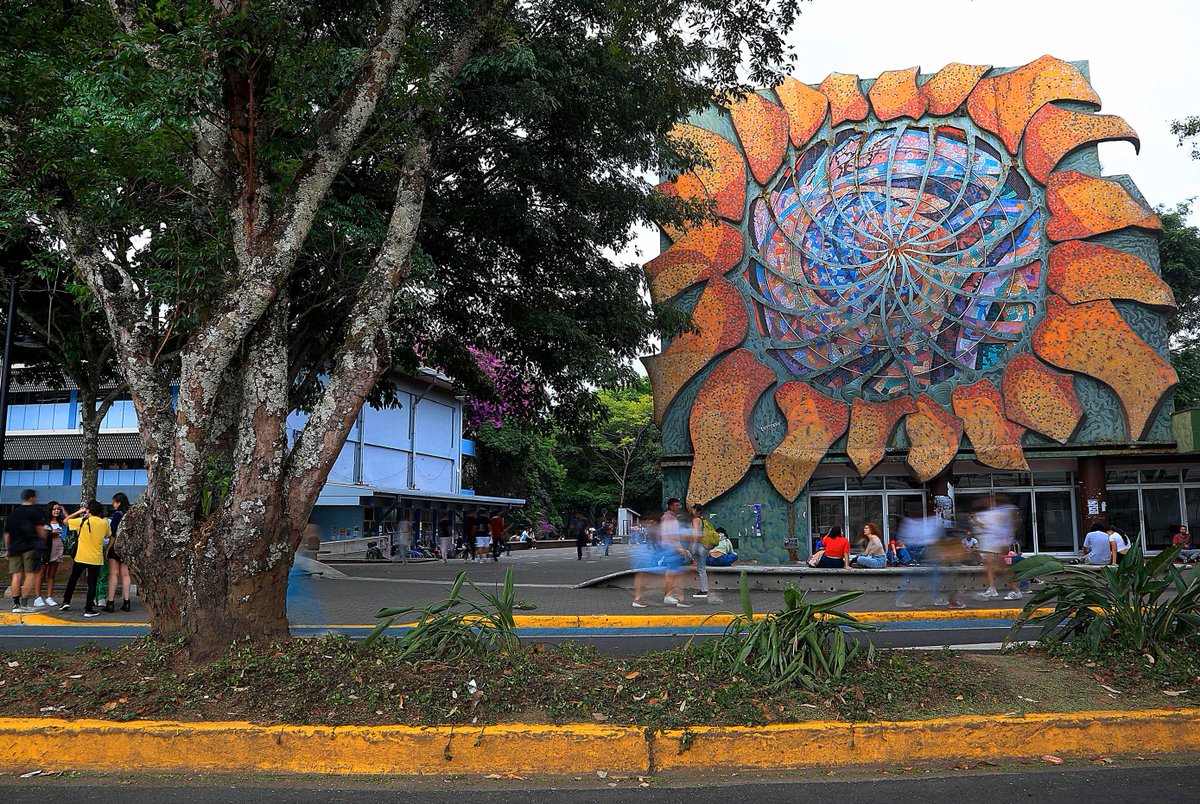 Gun_RightsCR's tweet image. No debería de existir la autonomía universitaria, en la medida que no haya autonomía financiera. Mientras las universidades públicas vivan de impuestos, deben rendir cuentas y generar un beneficio real para el país, como mínimo deberían de:

- Priorizar carreras en ciencia,…