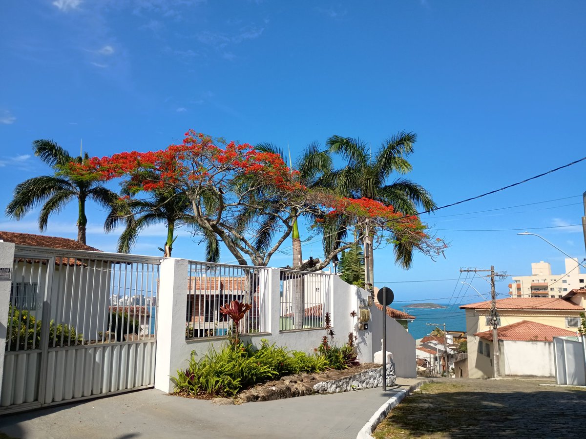 NavyChevalier's tweet image. The place I come to when I need to refill my happiness bar 🧭

#Photography #Nature #Spring