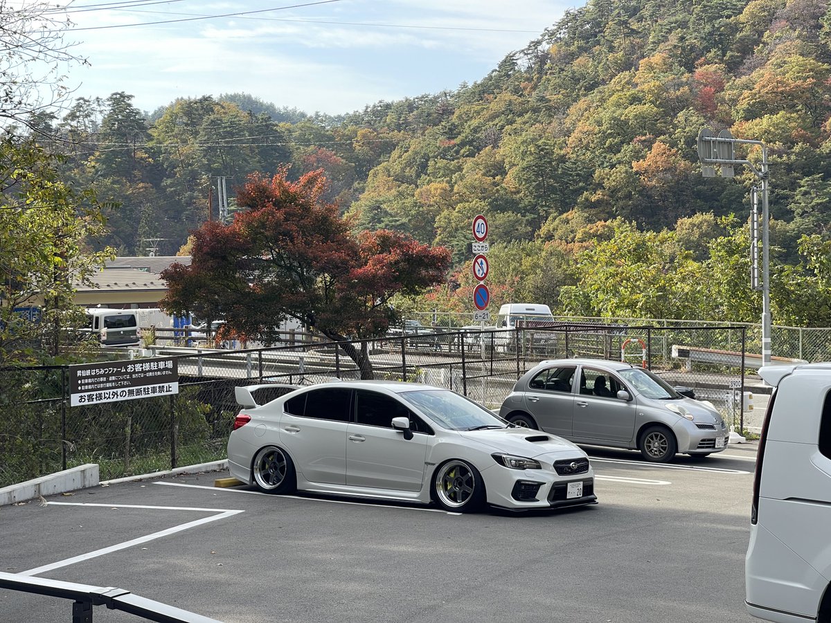 まさにゃん (@nyan_vab) / Posts / X