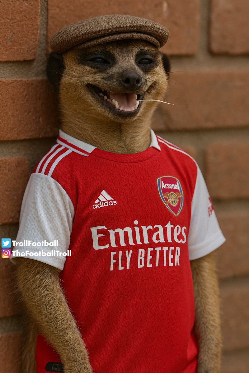 TrollFootball's tweet image. Arsenal watching Bayern Munich concede two from corners in 17 mins… then realising Gabriel is injured.